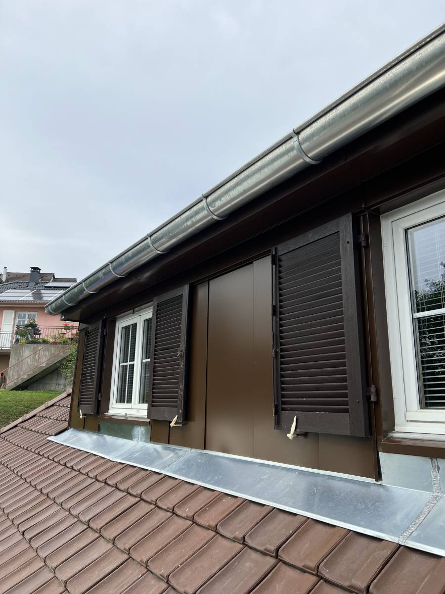 Habillage d'un chien assis en thermolaquée