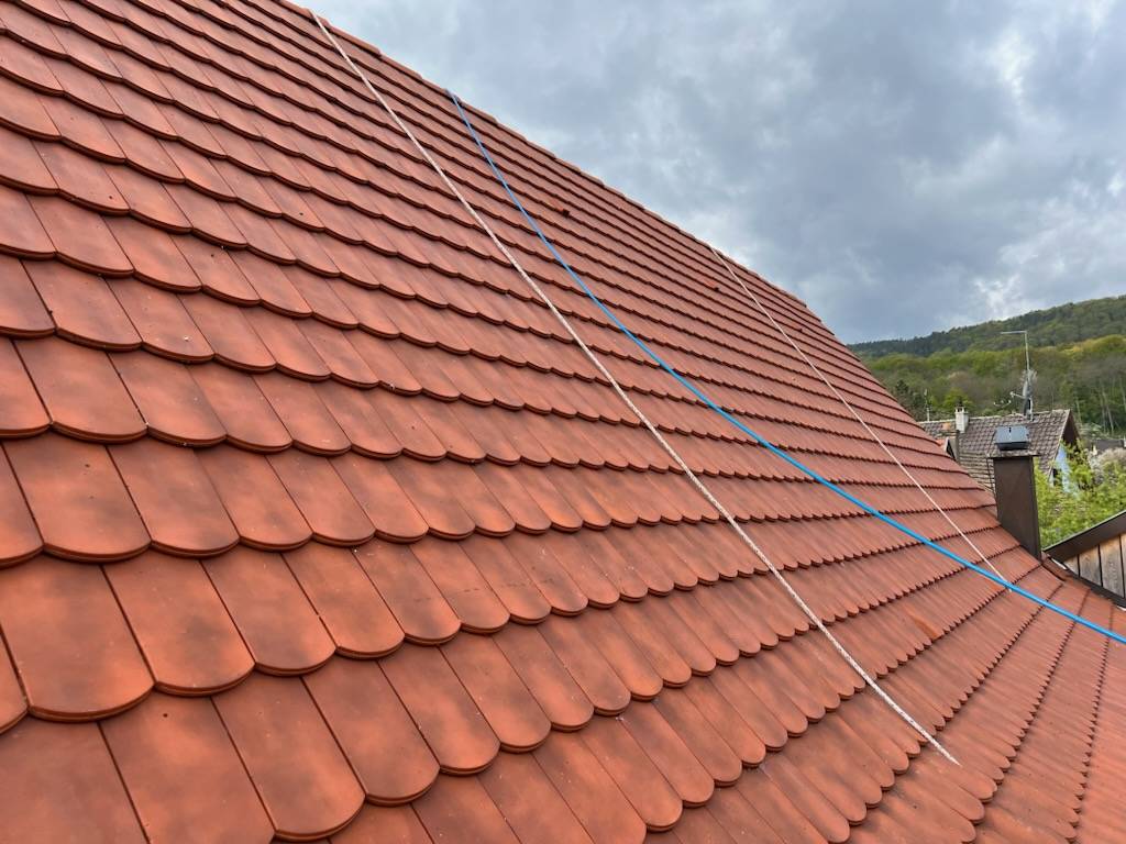 Traitement hydrofuge pour supprimer mousses et lichens