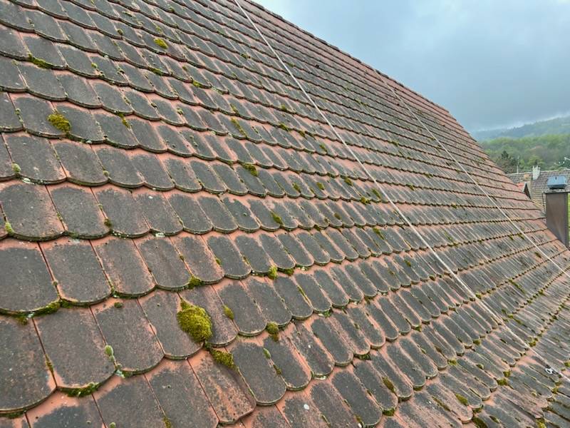 Traitement hydrofuge pour supprimer mousses et lichens