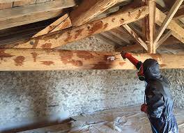 Traitement préventif de la toiture