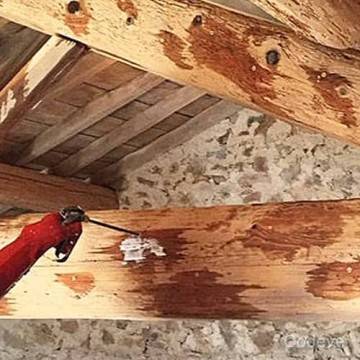 Traitement préventif de la toiture